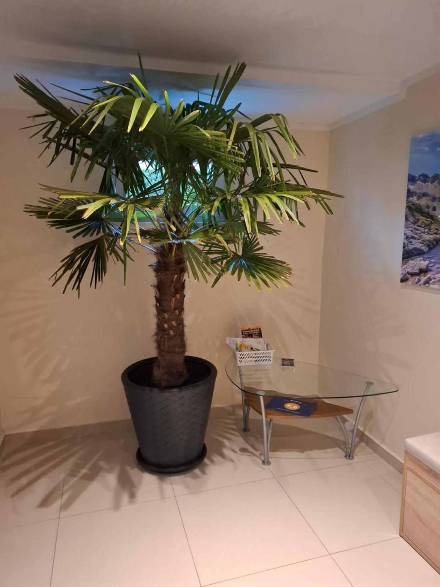 Apartament Wlodek Єленя-Ґура Екстер'єр фото